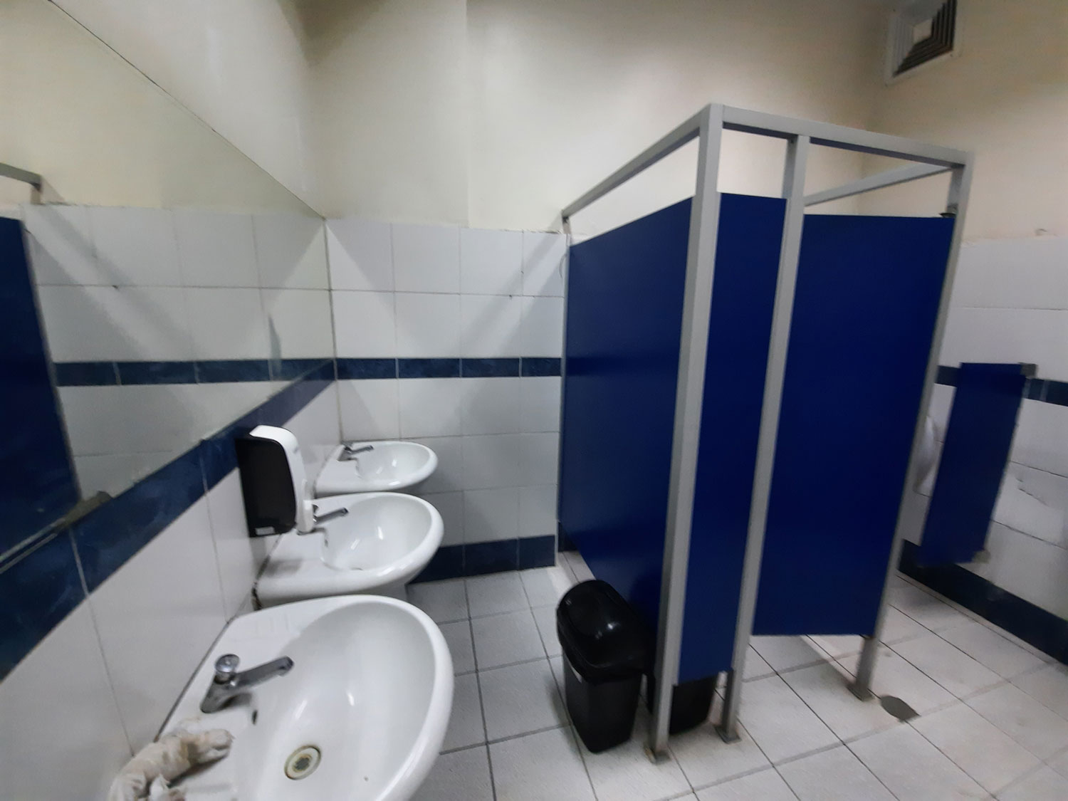 Remodelación-general-de-los-Servicios-Higiénicos-del-Sótano-del--Instituto---Sede-Santa-Beatriz-TPO-aNTES